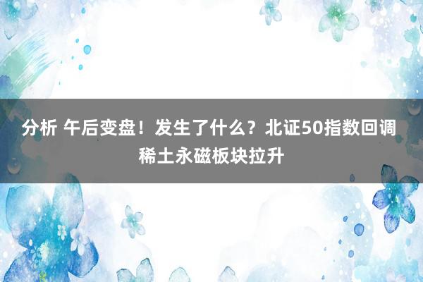 分析 午后变盘！发生了什么？北证50指数回调 稀土永磁板块拉升