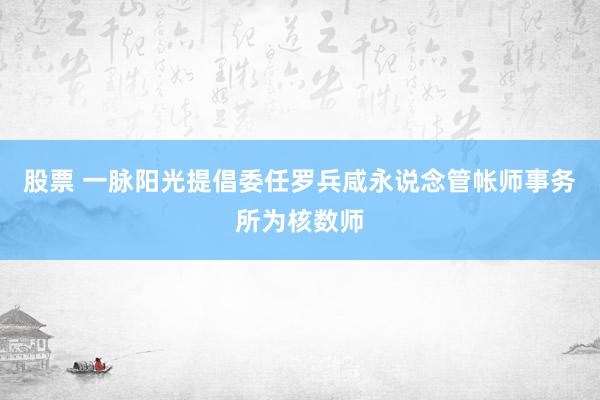 股票 一脉阳光提倡委任罗兵咸永说念管帐师事务所为核数师