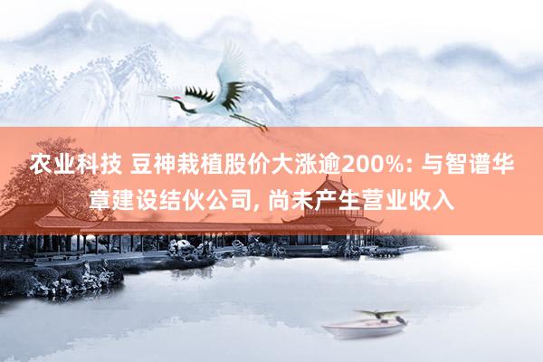 农业科技 豆神栽植股价大涨逾200%: 与智谱华章建设结伙公司, 尚未产生营业收入