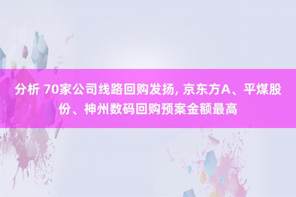 分析 70家公司线路回购发扬, 京东方A、平煤股份、神州数码回购预案金额最高