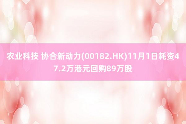 农业科技 协合新动力(00182.HK)11月1日耗资47.2万港元回购89万股