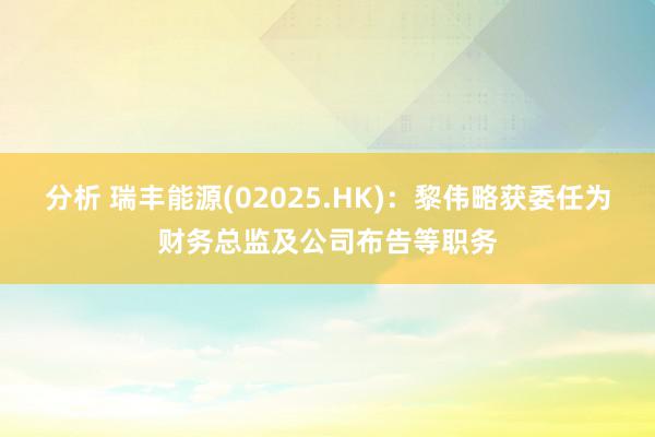 分析 瑞丰能源(02025.HK)：黎伟略获委任为财务总监及公司布告等职务