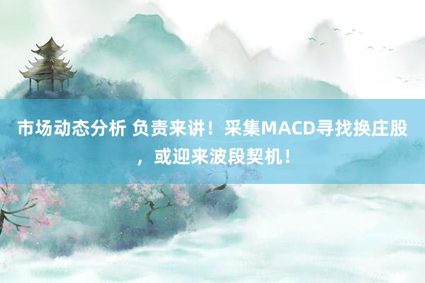 市场动态分析 负责来讲！采集MACD寻找换庄股，或迎来波段契机！