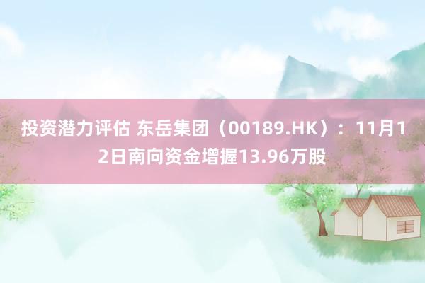 投资潜力评估 东岳集团（00189.HK）：11月12日南向资金增握13.96万股