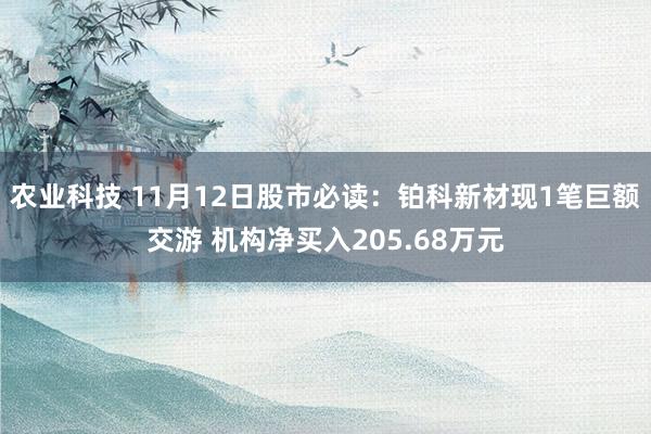 农业科技 11月12日股市必读：铂科新材现1笔巨额交游 机构净买入205.68万元