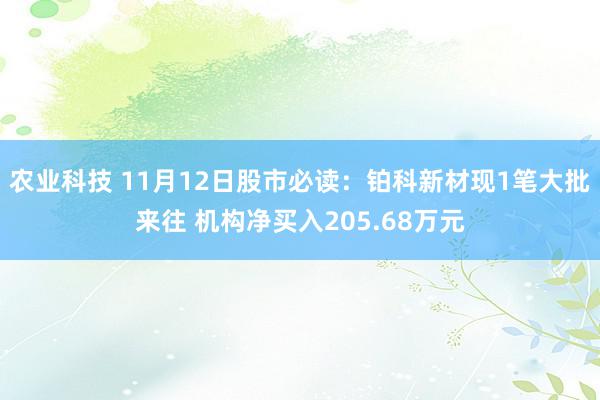 农业科技 11月12日股市必读：铂科新材现1笔大批来往 机构净买入205.68万元