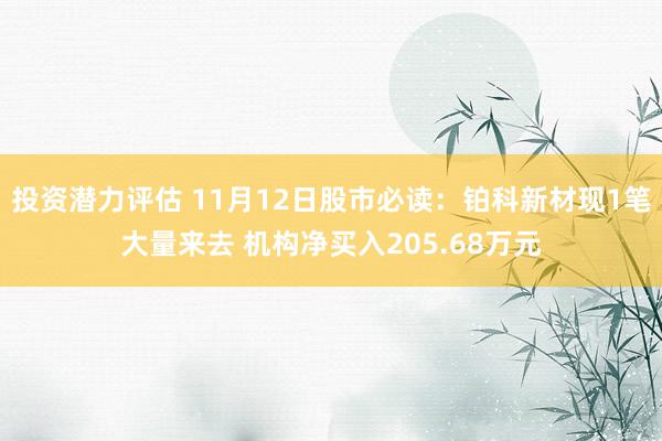 投资潜力评估 11月12日股市必读：铂科新材现1笔大量来去 机构净买入205.68万元