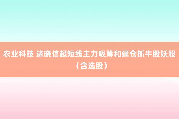 农业科技 邃晓信超短线主力吸筹和建仓抓牛股妖股（含选股）