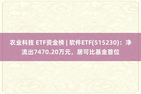 农业科技 ETF资金榜 | 软件ETF(515230)：净流出7470.20万元，居可比基金首位