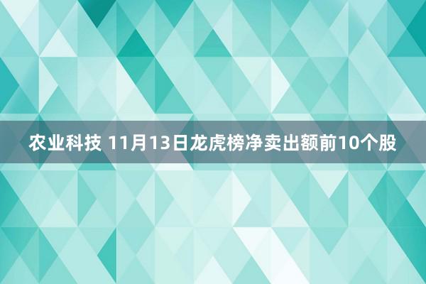 农业科技 11月13日龙虎榜净卖出额前10个股