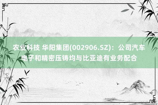 农业科技 华阳集团(002906.SZ)：公司汽车电子和精密压铸均与比亚迪有业务配合