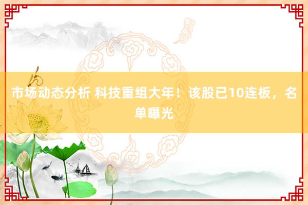 市场动态分析 科技重组大年！该股已10连板，名单曝光