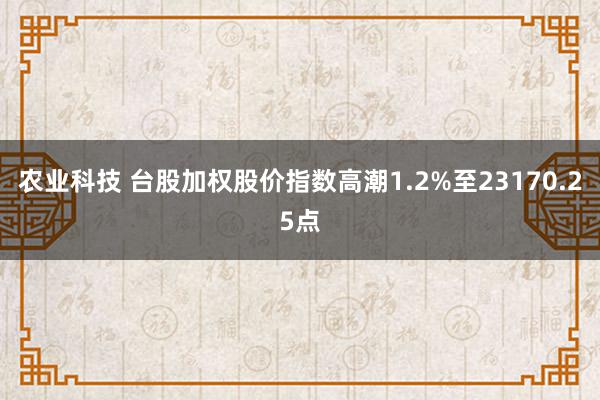 农业科技 台股加权股价指数高潮1.2%至23170.25点