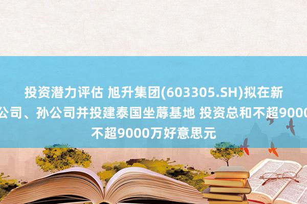 投资潜力评估 旭升集团(603305.SH)拟在新加坡诞生子公司、孙公司并投建泰国坐蓐基地 投资总和不超9000万好意思元