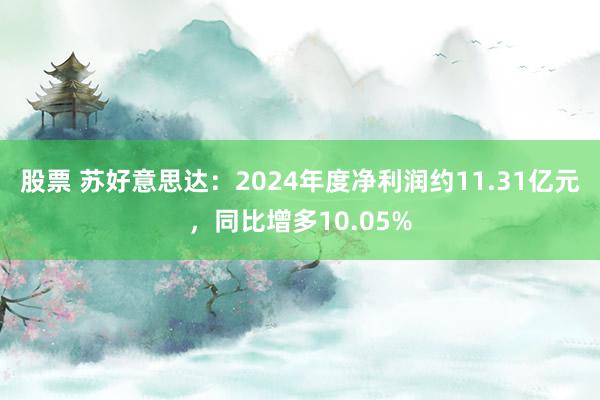 股票 苏好意思达：2024年度净利润约11.31亿元，同比增多10.05%