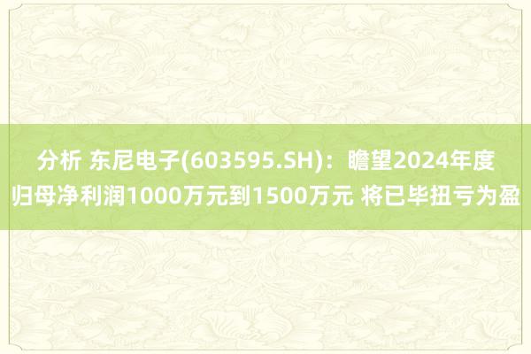 分析 东尼电子(603595.SH)：瞻望2024年度归母净利润1000万元到1500万元 将已毕扭亏为盈