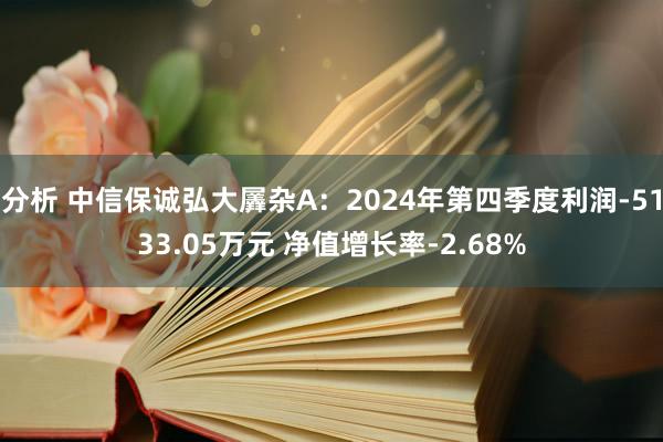 分析 中信保诚弘大羼杂A：2024年第四季度利润-5133.05万元 净值增长率-2.68%