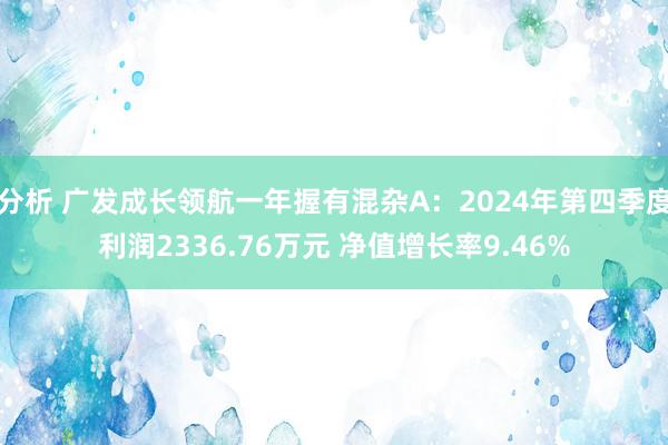 分析 广发成长领航一年握有混杂A：2024年第四季度利润2336.76万元 净值增长率9.46%