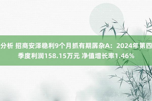 分析 招商安泽稳利9个月抓有期羼杂A：2024年第四季度利润158.15万元 净值增长率1.46%