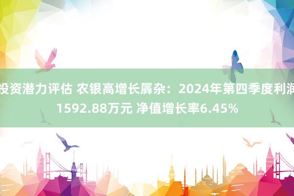 投资潜力评估 农银高增长羼杂：2024年第四季度利润1592.88万元 净值增长率6.45%