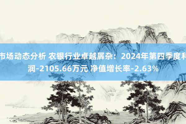 市场动态分析 农银行业卓越羼杂：2024年第四季度利润-2105.66万元 净值增长率-2.63%