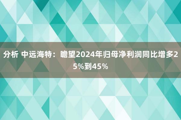 分析 中远海特：瞻望2024年归母净利润同比增多25%到45%