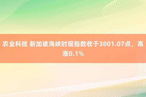 农业科技 新加坡海峡时报指数收于3801.07点，高涨0.1%