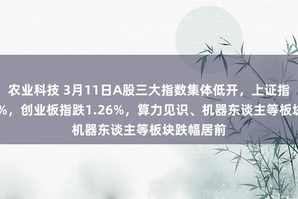 农业科技 3月11日A股三大指数集体低开，上证指数跌0.91%，创业板指跌1.26%，算力见识、机器