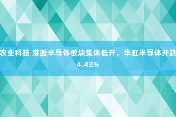 农业科技 港股半导体板块集体低开，华虹半导体开跌4.48%