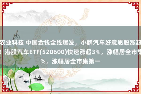 农业科技 中国金钱全线爆发，小鹏汽车好意思股涨超14%！港股汽车ETF(520600)快速涨超3%，