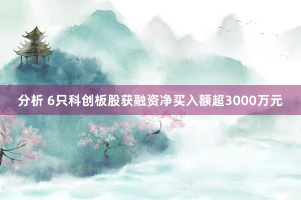 分析 6只科创板股获融资净买入额超3000万元