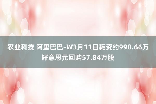 农业科技 阿里巴巴-W3月11日耗资约998.66万好意思元回购57.84万股