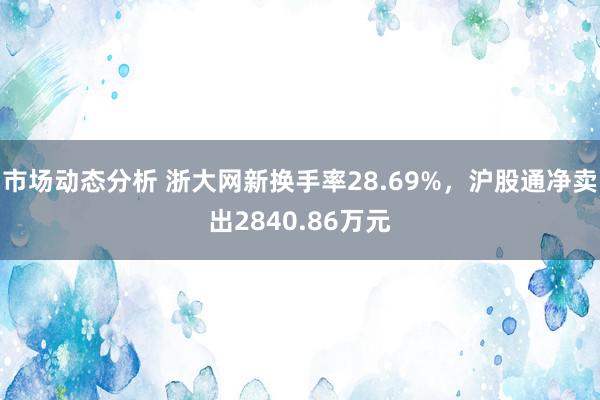 市场动态分析 浙大网新换手率28.69%，沪股通净卖出2840.86万元