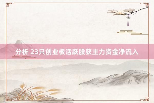 分析 23只创业板活跃股获主力资金净流入